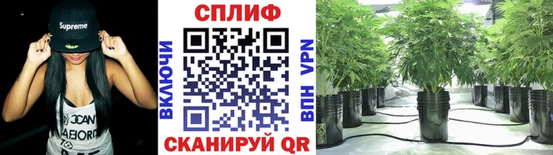 МАРИХУАНА гибрид  Купить  Краснознаменск 